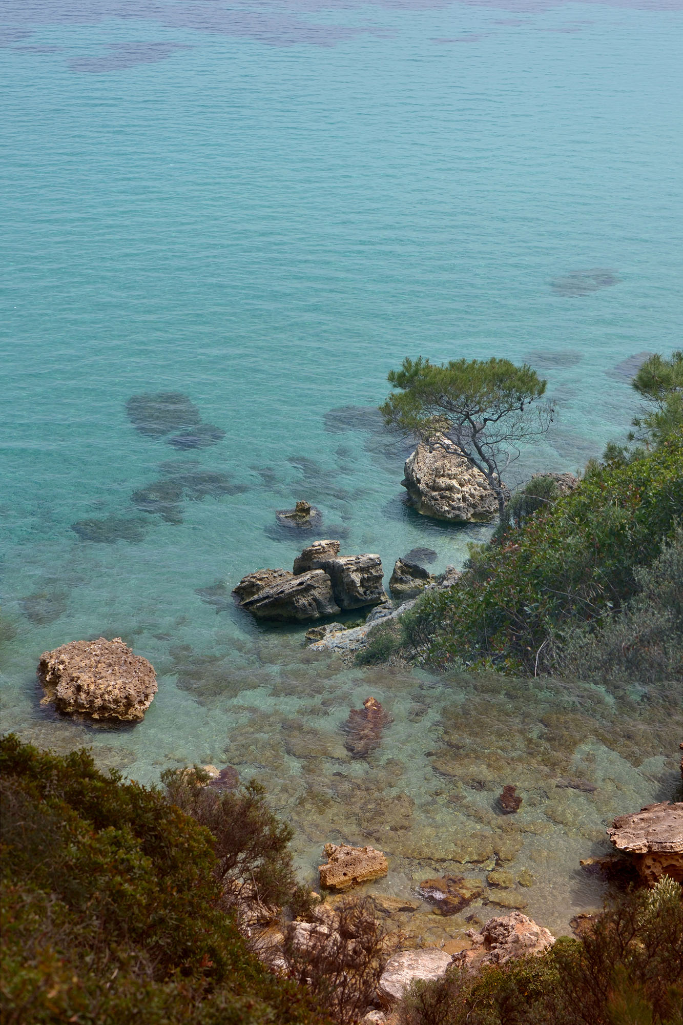 Untitled_Panorama 111